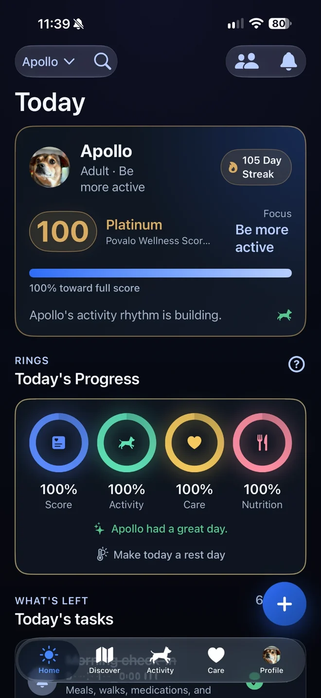 Povalo Today screen showing Apollo's Wellness Score of 100 and all four rings closed